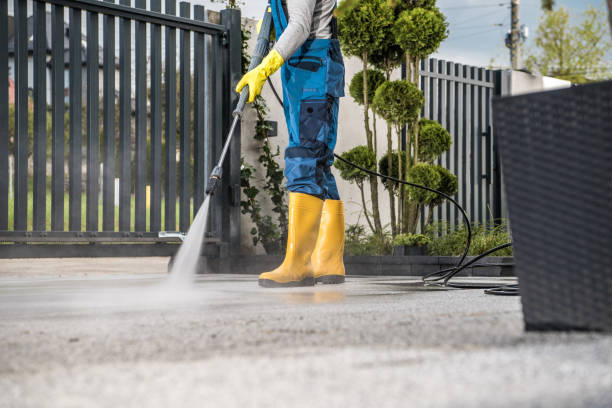 Best Gutter Cleaning  in Wesley Hills, NY